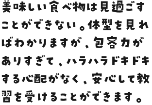 美味しい食べ物は見過ごすことができない。体型を見ればわかりますが、包容力がありすぎて、ハラハラドキドキする心配がなく、安心して教習を受けることができます。
